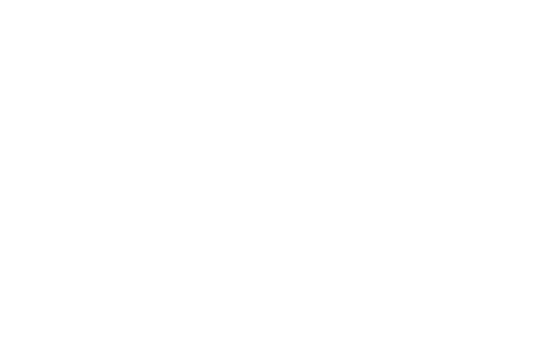 bernafon logo